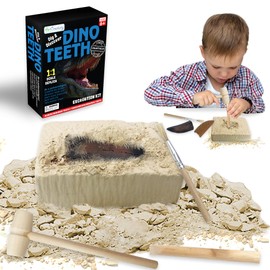 ArtCreativity Dino Teeth Dig and Discover Excavation Kit for Kids, Includes Alberlosaurus and Carcharodolosaurus Toy Fossil Teeth with 2 Digging Tools, Interactive Dinosaur Gifts for Boys and Girls