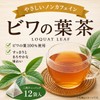 Gentle Non-Caffeine, Biwa Leaf Tea, 0.07 oz (2 g) x