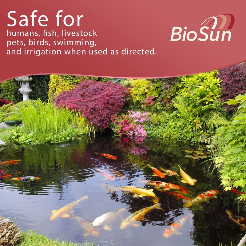 BioSun Purple Non-Sulfur Bacteria for Ponds and Lakes – Fish,