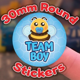 Stone Melon Gender Reveal Baby Shower Stickers 144 Team Blue Pink Bee Stickers 30mm Round Boy Girl
