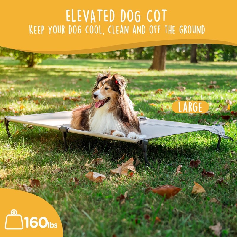 CANINE CANYON Daisy Cot, Large Foldable Elevated Dog Bed, Portable