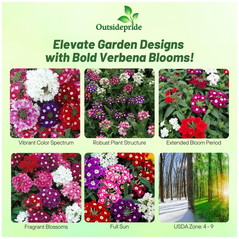 Outsidepride Mammoth Mix Verbena Seeds for Planting - 2000 Pcs.