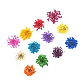 Ipetboom Pcs Real Dried Flowers for Nail Art Colors d Stickers Nail Stickers Supplies