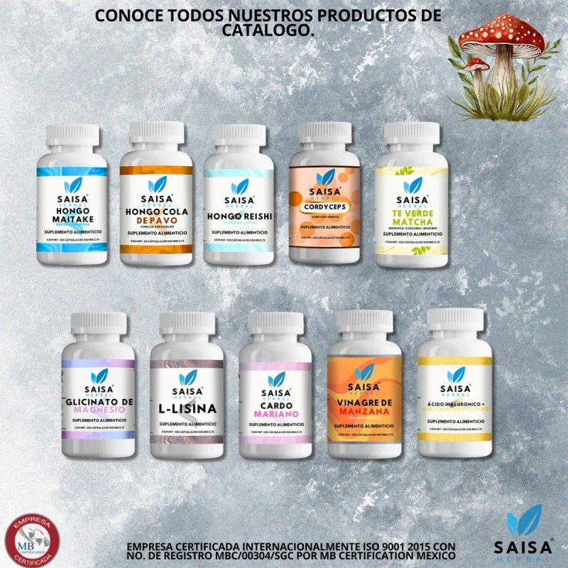 Hongo Shiitake Orgánico Con 120 Cápsulas Saisa Herbal Sabor Sin