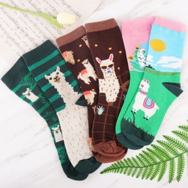 Jeasona 3 Pairs Women's Socks 39-42 with Saying Funny Colourful Socks Women's Cotton, Multi-coloured Alpaca AB