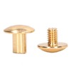 200 Sets Book Binding Screw Uniform Coating Curved Surfaces Brass