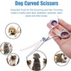 Curved Dog Grooming Scissors with Safety Round Tips, Light Weight