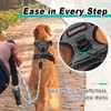 BARKBAY Dog Harness No Pull for Medium Dogs - Adjustable,