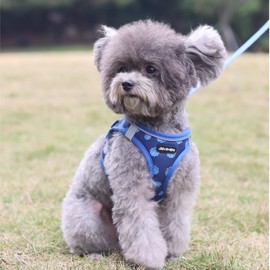 JdotMIN Plaid Dog Harness and Leash Set, Extra-Small/Small to Medium Dog and Cat Vest Harness No Pull, Escape Proof, For Walking Puppy and Kitten, For Travel and Car (Navy Blue, S)