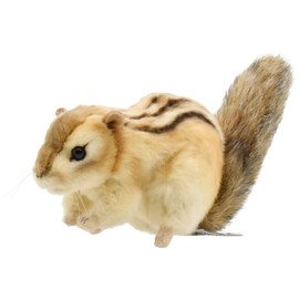 BH7843 HANSA Shimaris 25