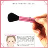 Shishida Seishindo Blush Brush Slide, Pink