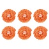 Rebower 6 Pcs Orange Paper Flowers, 6" 3D Tissue Paper