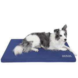 Warfort Durable Outdoor Dog Bed, Indoor cat Bed Anti Mild Bite Crate Mat, Stable Kennel Pad with Removable Fully Waterproof Cover (Blue, X-Large(42x28x2in))