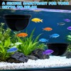 2 Pcs Floating Betta Hide & Shrimp Cave – All-in-One