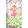 Cardamom Tarot Standard Version Jovenly | 79 Cards Total [Genuine]