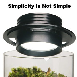 AREPK Desktop Glass Plant Terrarium with Grow Light (H:7.8" D:4"), for Succulent, Moss, Miniature Gardening Landscape, Betta Fish Tank, Office Home Decoration, Plant Lovers Gifts