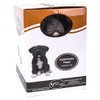 Vivid Arts - Pet Pals Brindle Staffordshire Home or Garden