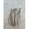 Goji 10 Goji Berry Fresh Cutting 6” Each Stick Ready