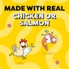 Temptations Puree Kitten Treats Lickable, Chicken and Salmon Variety Pack,