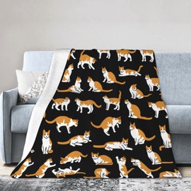 Wisedeal Cute Cat Theme Comfort Flannel Throw Blanket, Lover Cat Gift, Funny Cat Pattern Blanket for Daughter Dad Mom Friend Aunt Uncle Women, Christmas Birthday Gifts Blanket Size 50"x 60"