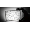 Sterile 6 Well Glass Bottom Cell Culture Plate - Glass