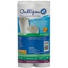 Culligan P5-4PK P5 Whole House Premium Water Filter, 8,000 Gallons,