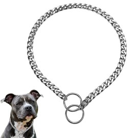 Silver Dog Chain Choker Collar for Dogs Metal Choke Collar Link Training Slip P Puppy Martingale Collars Necklace for XXS XS Small Medium Large Big XL Breed Dogs L