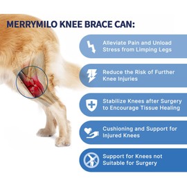 Dog Knee Brace for Hind and Rear Leg, Support for Dog ACL CCL Cruciate Ligament Injury Joint Pain and Muscle Sore, Size L