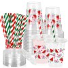Whaline 50Pcs Watermelon Plastic Cups with Lids and Straws Red