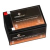 12V 12AH Sealed Lead Acid Battery compatible with STRONG