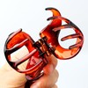 NAKANOYA Hair Claw 1 Piece Plastic Resin Hair Claw Vance