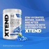 Suplemento en bcaa Mezcla de Aminoácidos Polvo Xtend sabor frambuesa