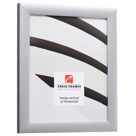 Craig Frames 23247018 24 x 30 Inch Brushed Silver Picture Frame Matted to Display a 20 x 26 Inch Photo