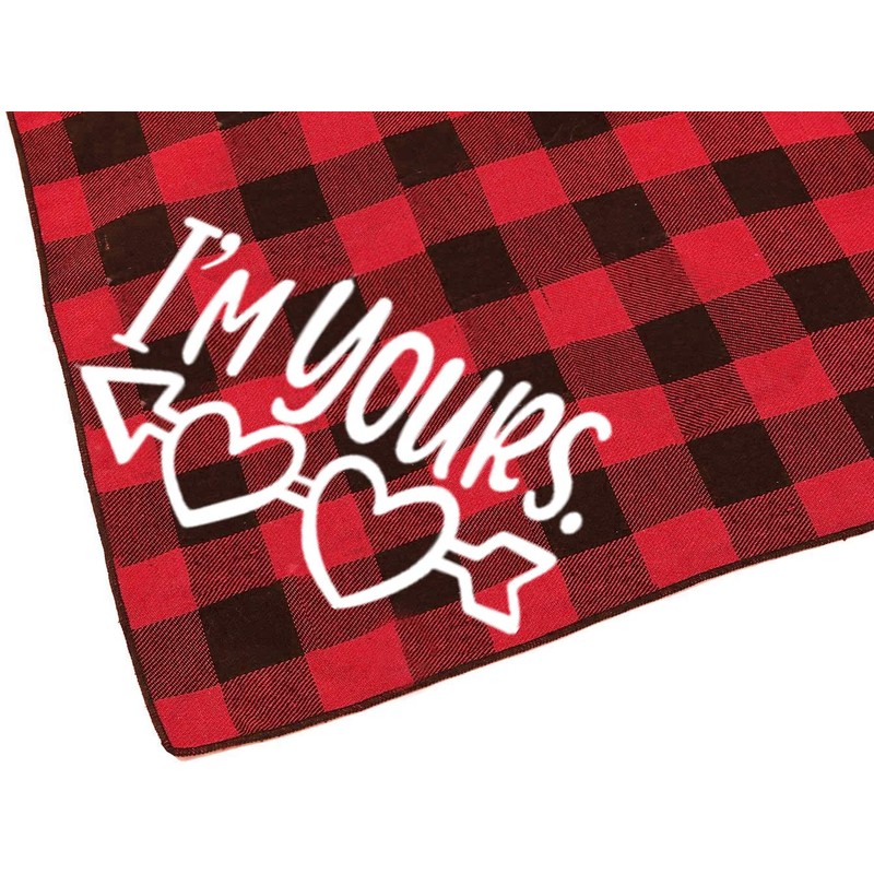Pack of 2 Dog Bandana Valentines Day - Reversible Buffalo
