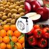 2 Pcs Apple Corer, Apple Slicer, Apple Corer and Slicer,