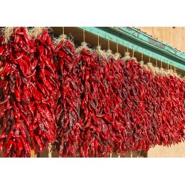 4 Cats and a Herd Farm 0.25 g New Mexico #6.  Hatch Type Chili. Non-GMO, OP/OG, Red or Green?