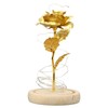 Rose in Glass Dome Lucky Beautiful Symbolism Romantic Enchanted Rose