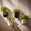 LA JOLIE MUSE Wall Hanging Planters for Indoor Plants，Hanging Flower