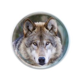 Magnidome - Wolf from Deluxebase. Wolf Crystal Glass Fridge Magnet for Kids. Superb domed shaped magnets for home decorations and accessories