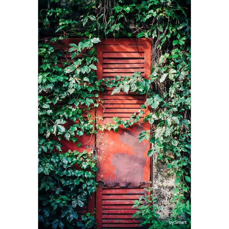 TTArtisan 50mm f/2 Z Mount Nikon Z Lens Brand Optics