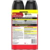 Raid® Ant & Roach Killer 26, Fragrance-Free Bug Spray, 17.5