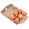 Egg Case Egg Case with Lid Egg Container Refrigerator Storage