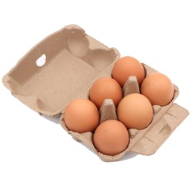 Egg Case Egg Case with Lid Egg Container Refrigerator Storage 6 Pack 20 Boxes NYANDELMO (6 Pack, Brown)
