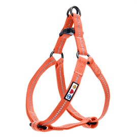 Pawtitas Recycled Dog Harness with Reflective Stitched a Puppy Harness Made from Plastic Bottles Collected from Oceans Large Livng Coral