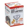 Little Giant Clear Bulb for Brooder Lamp Heat Lamp Bulb for Chicks (250 Watt) (Item No. 170031)
