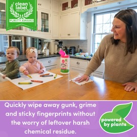 Dapple Baby All Purpose Wipes, Plant Powered, Hint of Lavender, Hypoallergenic, 75 Count Canister + 30 Count