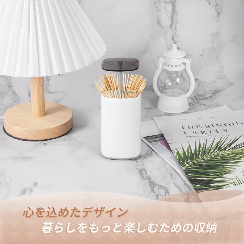 Kailund Toothpick Holder, Toothpick Case, Toothpick Holder, Push Type, Toothpick