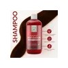 Shampoo Capilar Baño De Color Rojo 500ml