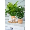 KORAD Flower Pot with Stand - Pattern 047 Bamboo -