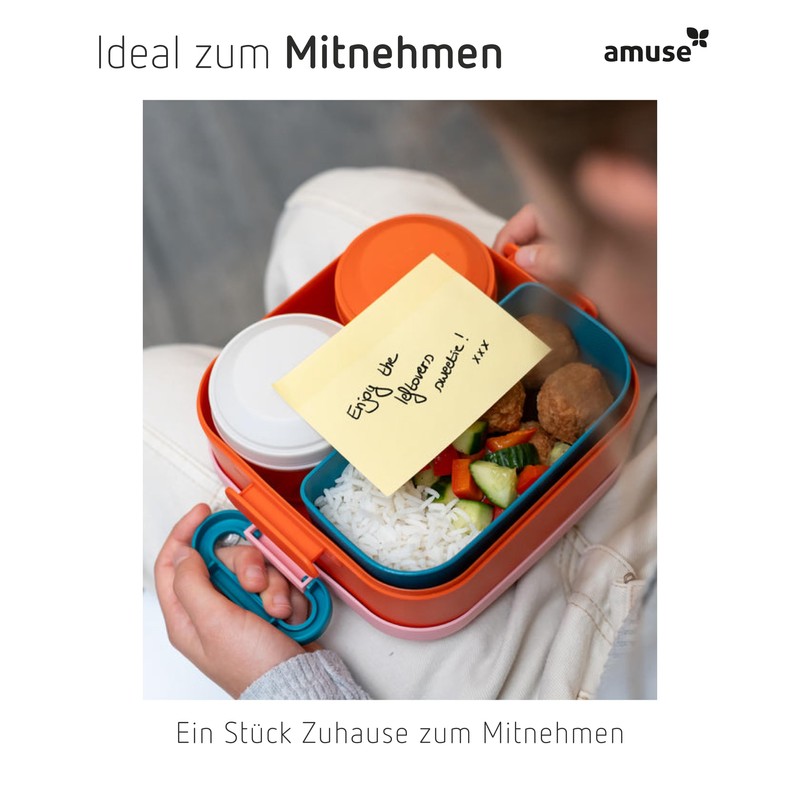 Amuse Rikko Children's Lunch Box Set with Compartments Bento Box